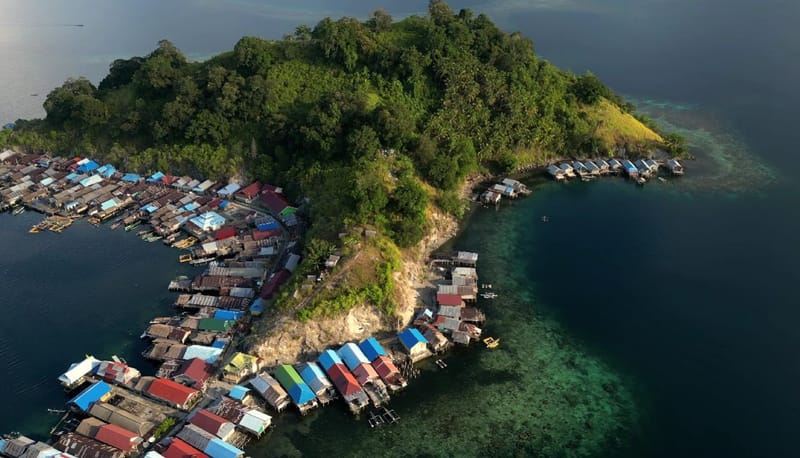 Stilt houses of a fishing village along a forested shore, seen from above
