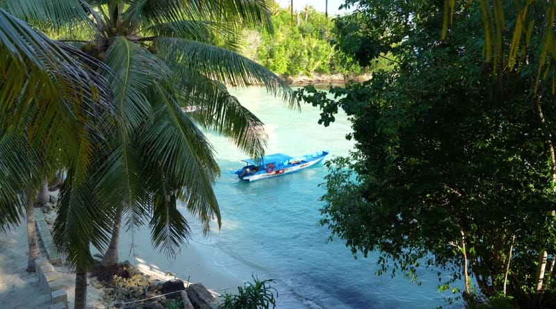 A small boat moored in a clear bay framed by palm trees