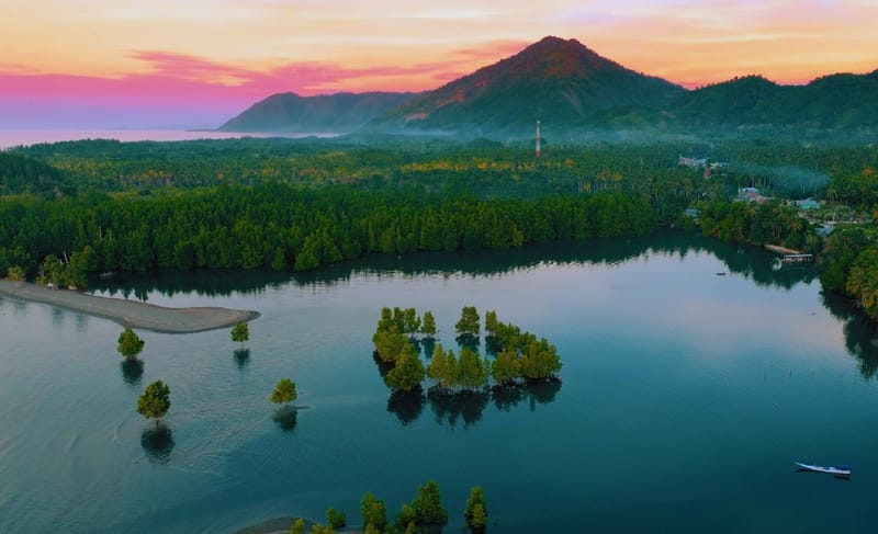 A volcanic peak above a still mangrove lagoon under a pink sky