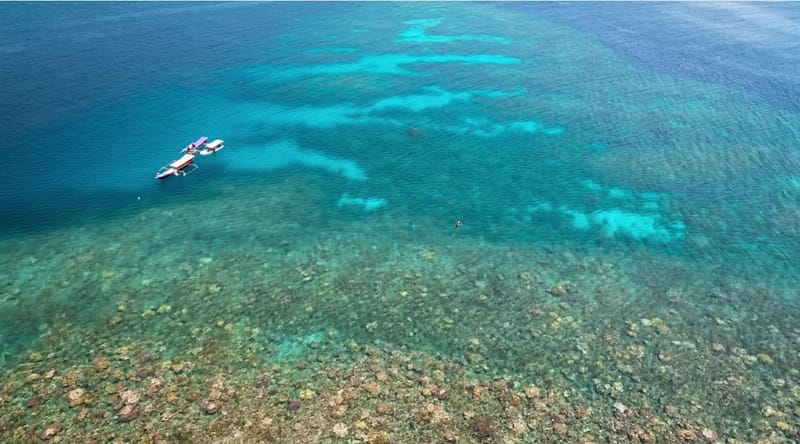 A small boat over a shallow coral reef, seen from above