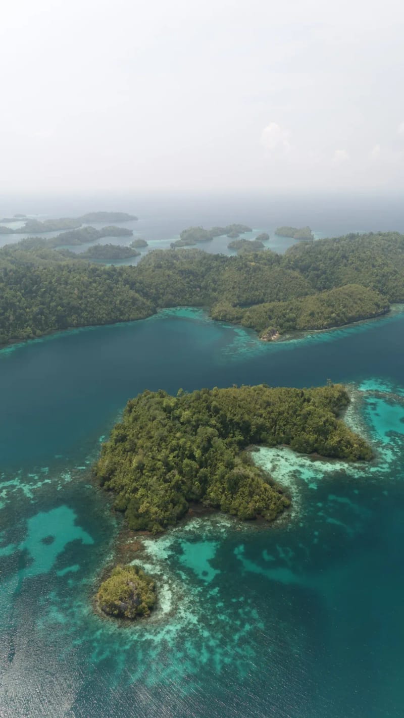 Islands of the Togean archipelago and their reefs, seen from above