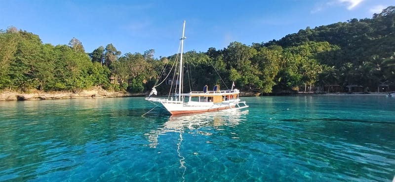 White wooden phinisi anchored in clear turquoise water off a forested island shore with palm-shaded huts