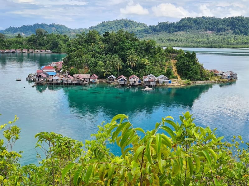Stilt-house fishing village around a small jungle-covered islet in turquoise water, seen from a hilltop